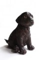 Hondje hoog bruin